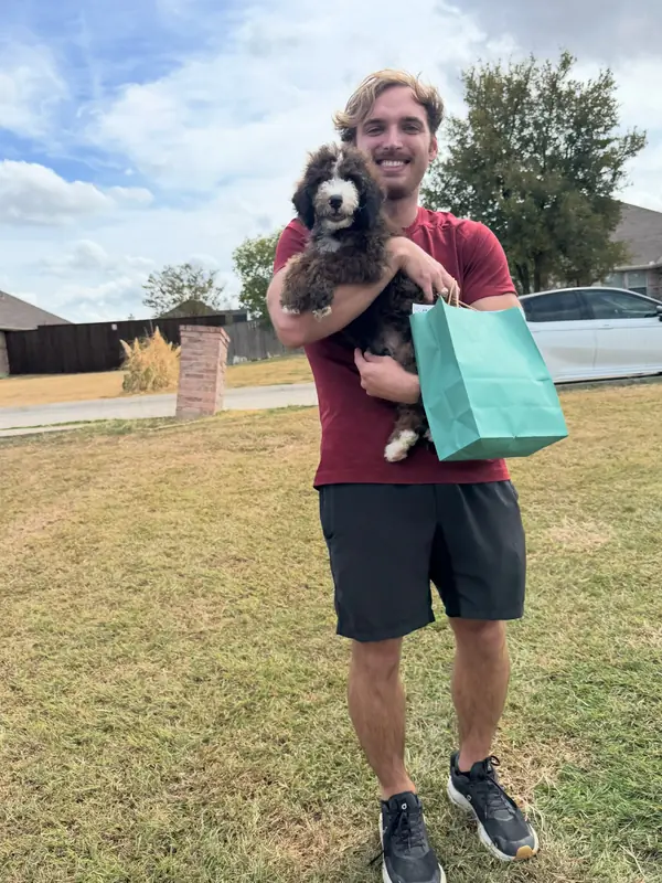 A family on gotcha day, taking home their Bernedoodle puppy from KK Doodles