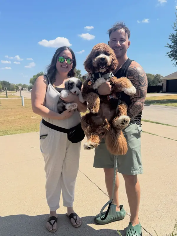 A family on gotcha day, taking home their Bernedoodle puppy from KK Doodles
