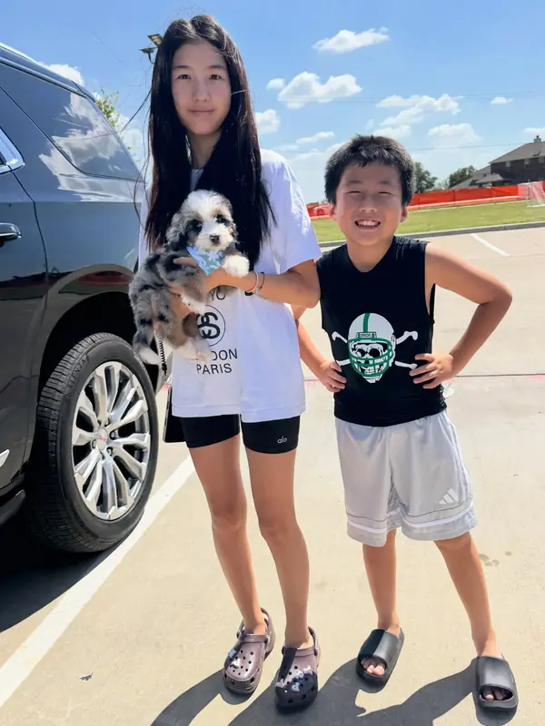 A family on gotcha day, taking home their Bernedoodle puppy from KK Doodles